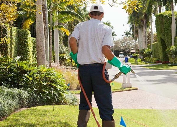 About Cimarron KS Pest Control
